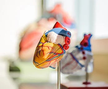 Precautions After Coronary Artery Stent Installation