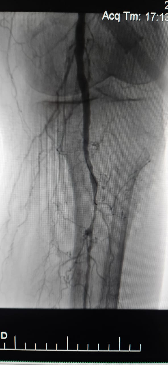 502586975_1095056349311343_2146610342261161306_n.jpg 502586975_1095056349311343_2146610342261161306_n.jpg