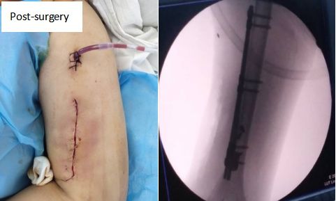 1746757737172.jpeg 1746757737172.jpeg