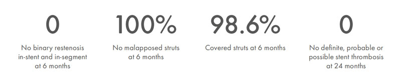Polymer Free Drug Eluting Stents Polymer Free Drug Eluting Stents