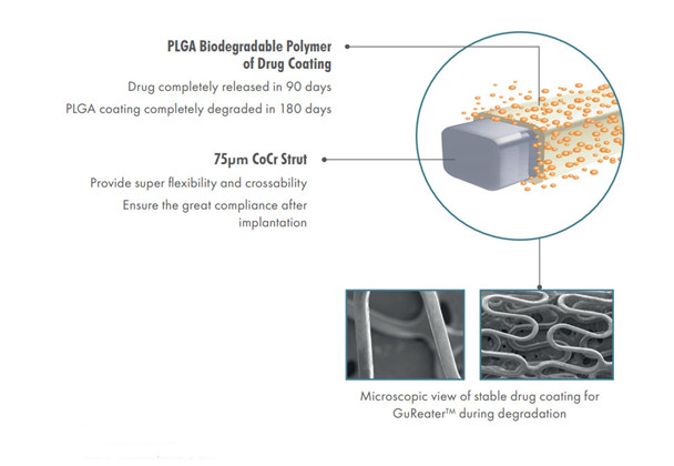 gureater-cocr-stent-sirolimus-eluting-coronary-stent-system-2.jpg gureater-cocr-stent-sirolimus-eluting-coronary-stent-system-2.jpg