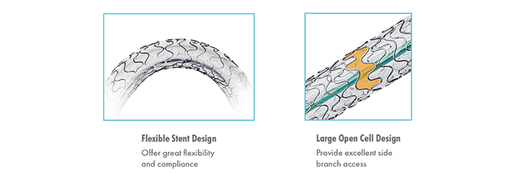 Stent Manufacturers Stent Manufacturers