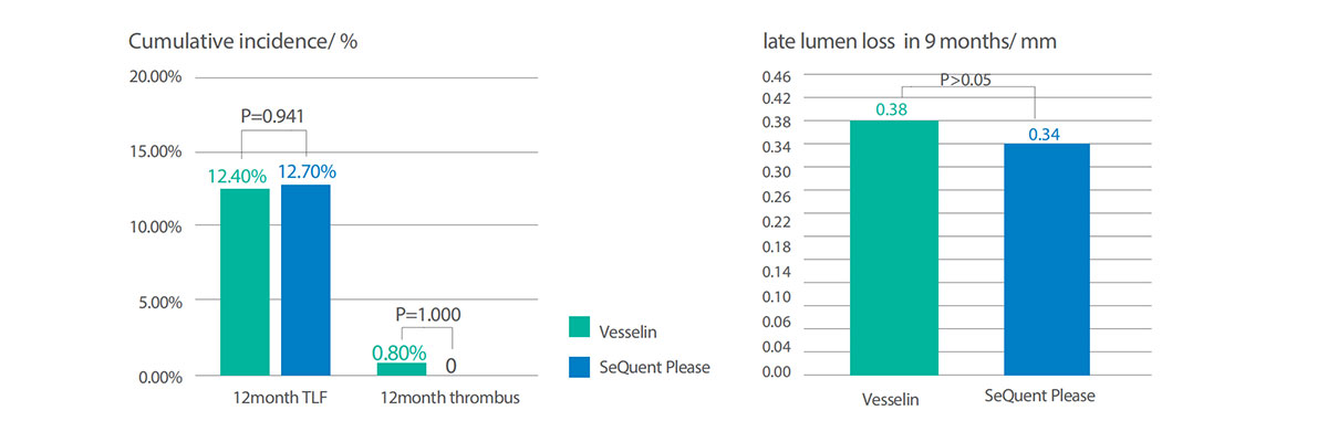 Vesselin Drug Coated Coronary Balloon Catheter Details Vesselin Drug Coated Coronary Balloon Catheter Details