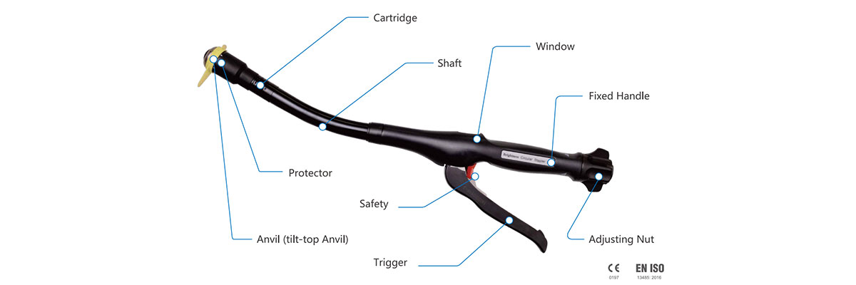 Disposable Circular Stapler Disposable Circular Stapler