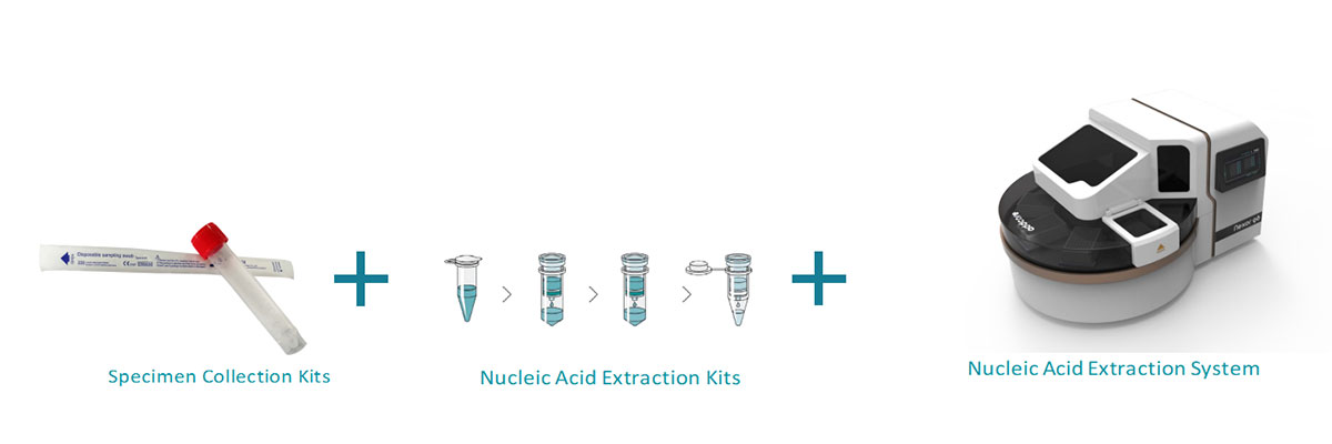 PCR Fluorescence PCR Fluorescence